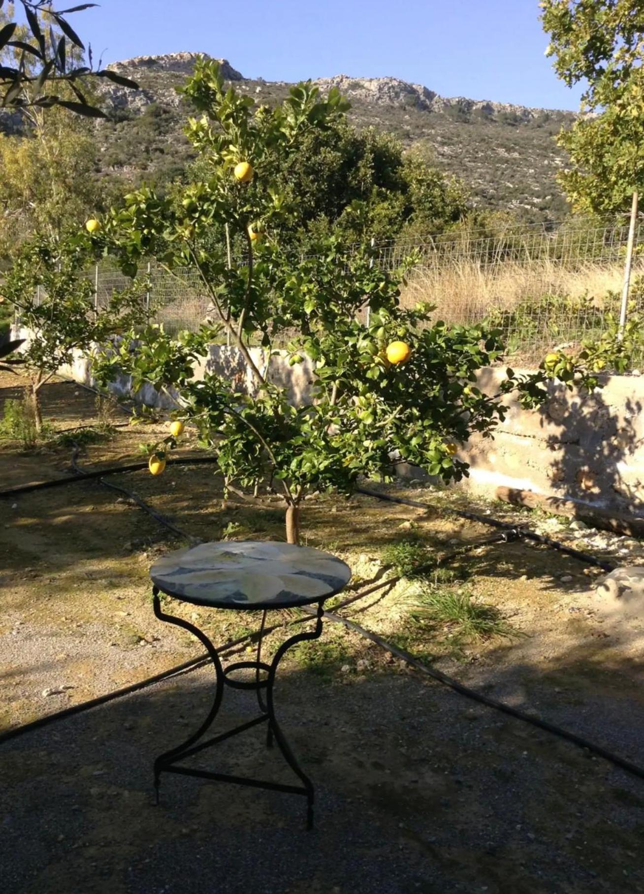 Ktima Agrilia 1